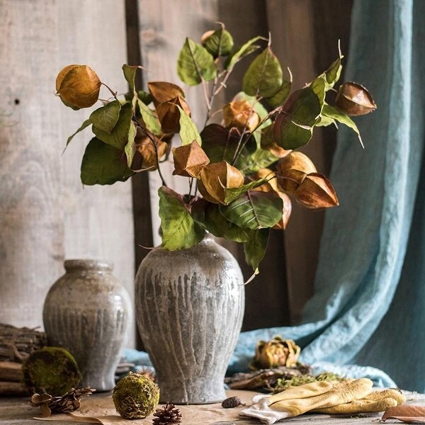 RusticReach Physalis Fruit Stem Stem 32" Tall