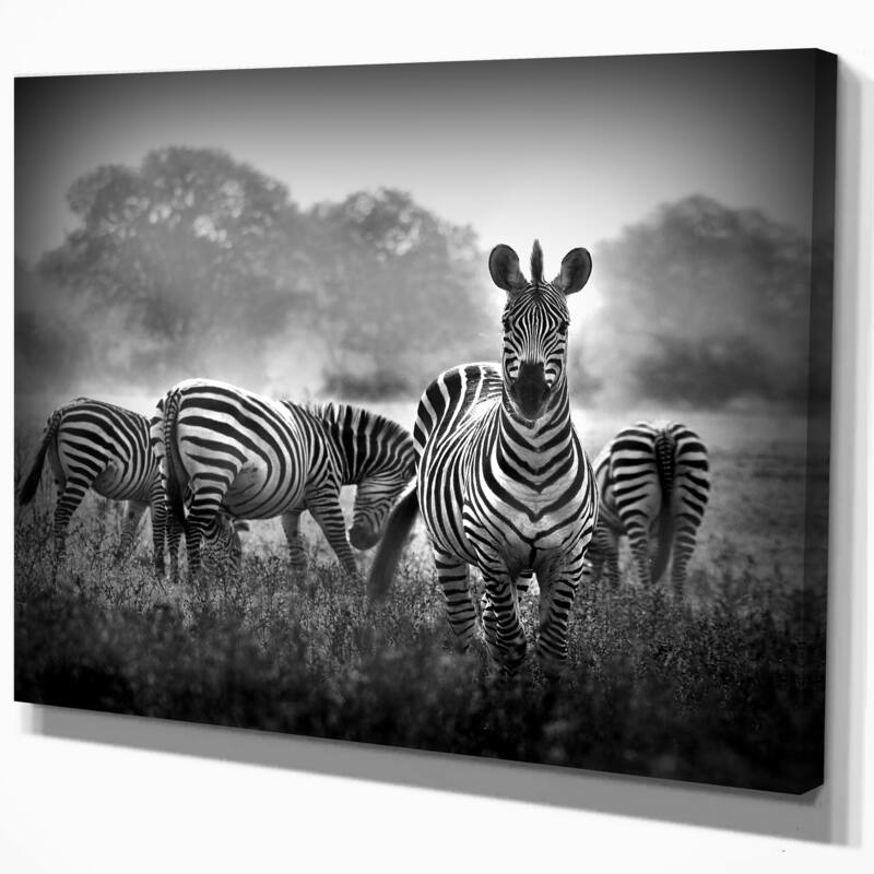 Designart "Zebra in black and white" Africa Animals Photography on Wrapped Canvas Bed Bath