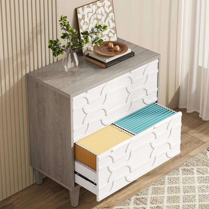 2-Drawer File Cabinet, Lateral Filing Cabinet, Office Storage Cabinet, Printer Stand with Storage Drawer White & Gray
