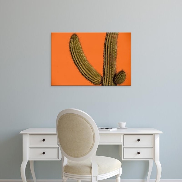 Easy Art Prints Walter Bibikow's 'Colorful Cactus Details' Premium Canvas Art