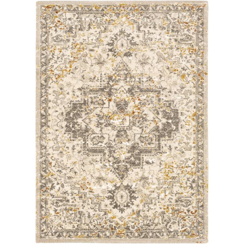Pienza Updated Traditional Medallion Area Rug