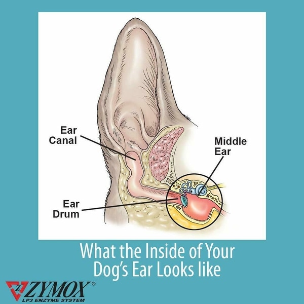 zymox pet ear treatment