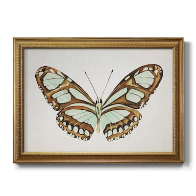 Mint Butterfly I Premium Framed Canvas- Ready to Hang