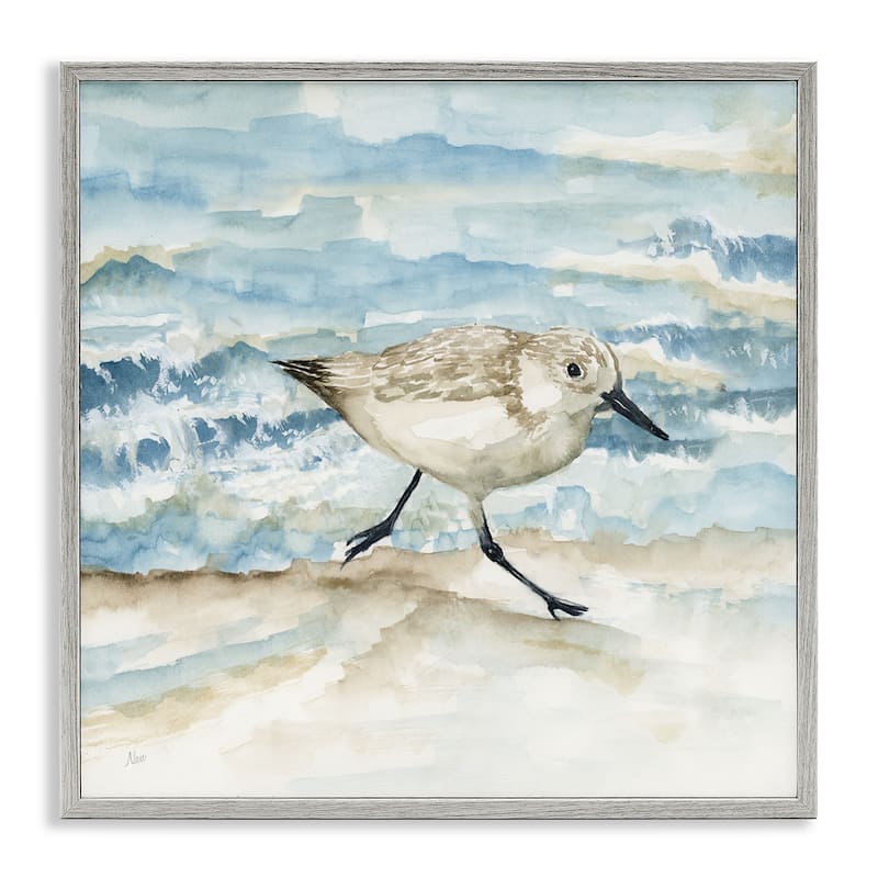 Stupell Sandpiper Striding Shore Framed Giclee Art Design By Nan - 24 x 24 - Grey