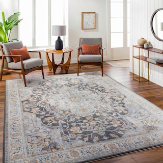 Livabliss Hassler Traditional Medallion Area Rug
