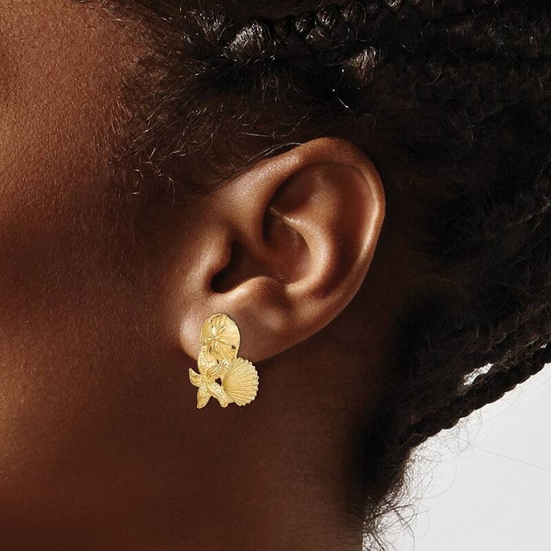 Curata 14k Yellow Gold Sand Dollar Starfish And Scallop Cluster Post Earrings 18.45x19.6mm