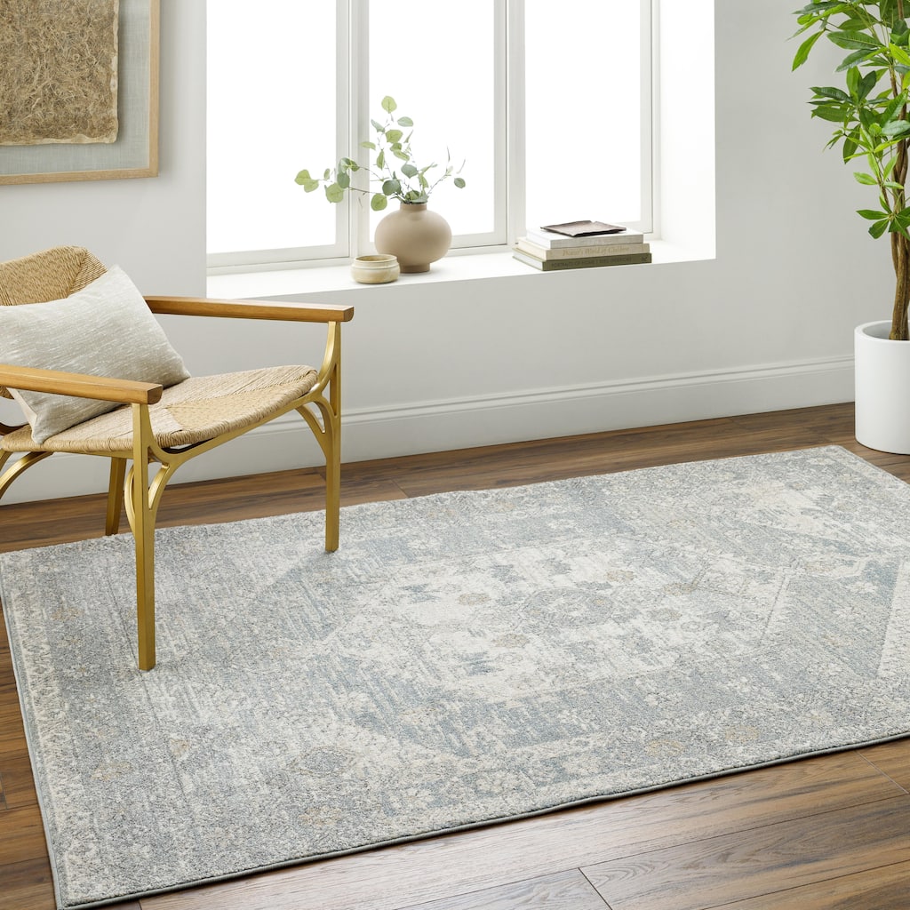 Livabliss Alpharetta Vintage Border Area Rug