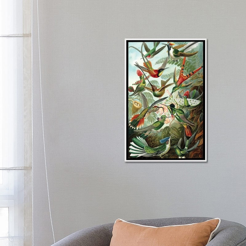iCanvas "Haeckel Hummingbirds" by PatentPrintStore Framed Canvas Print