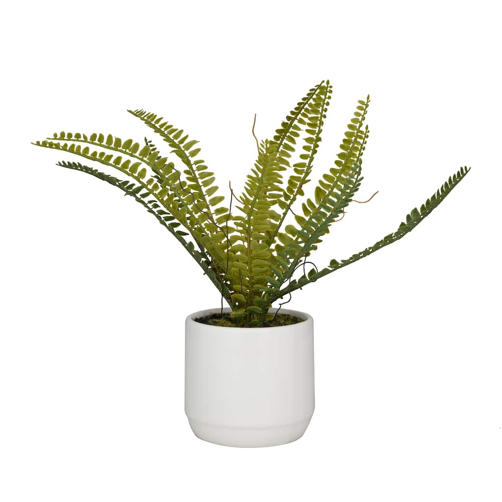 Faux Foliage Fern Artificial Plant with Realistic Leaves and White Ceramic Pot - Green - Roche River Decor - 10"W x 15"L x 12"H
