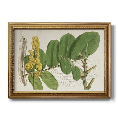 Tropical Foliage & Fruit II Premium Framed Canvas- Ready to Hang