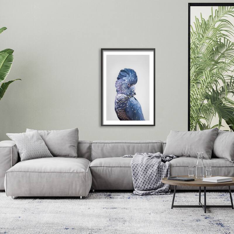 "Black Cockatoo" Framed Print Wall Art by Kathrin Pienaar