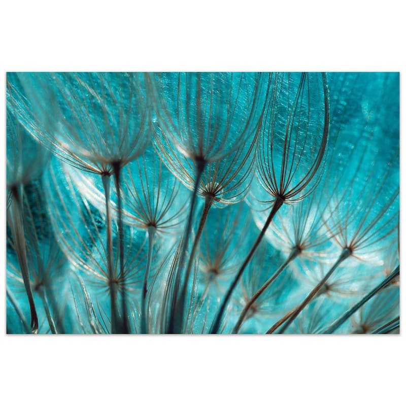 Dandelion Frameless Tempered Art Glass Wall Art - Multi-color