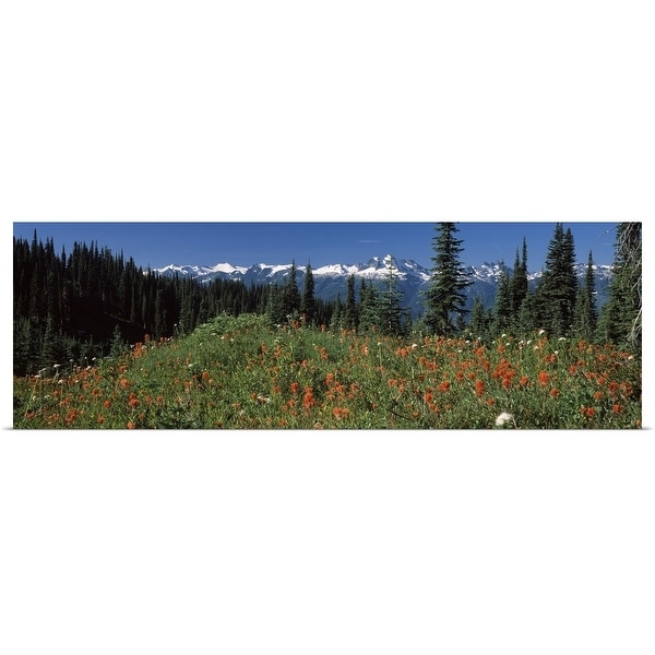 "Wildflowers in a field, Mt Revelstoke National Park, British Columbia, Canada" Poster Print