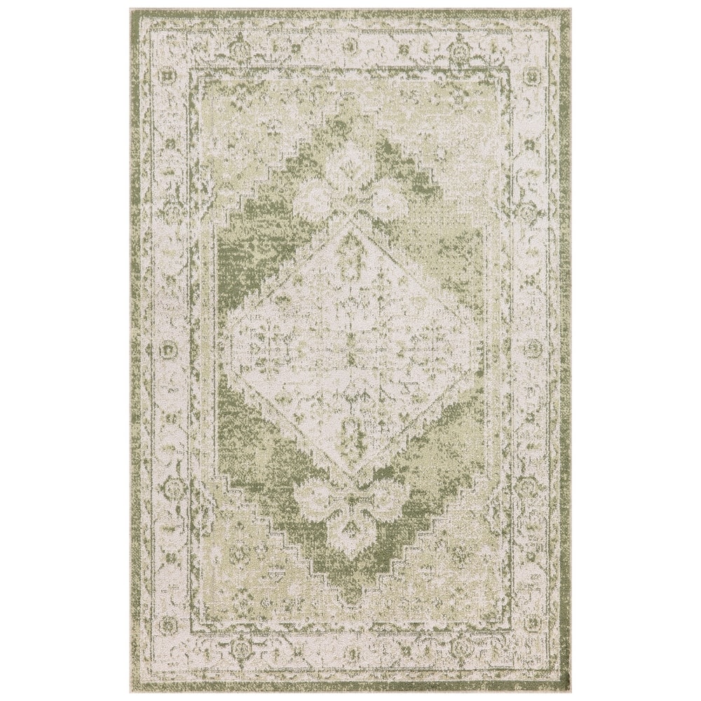 Nourison Astra Machine Washable Distressed Area Rug