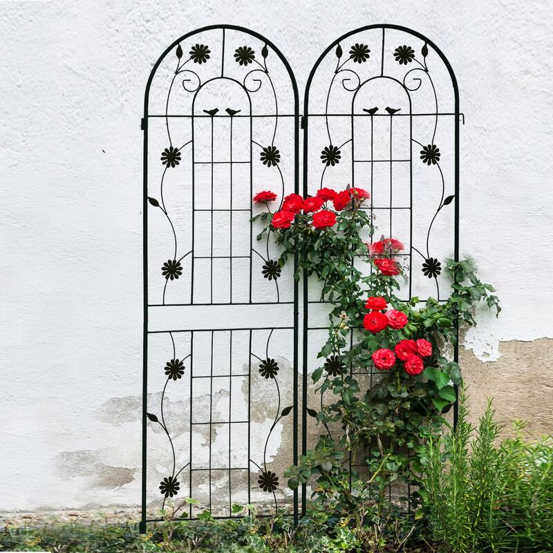 2 Pack Metal Garden Trellis 71" x 19.7" Rustproof Trellis for Climbing Plants Outdoor Flower Support