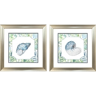 Paragon Coastal Shell Framed Art - Set of 2