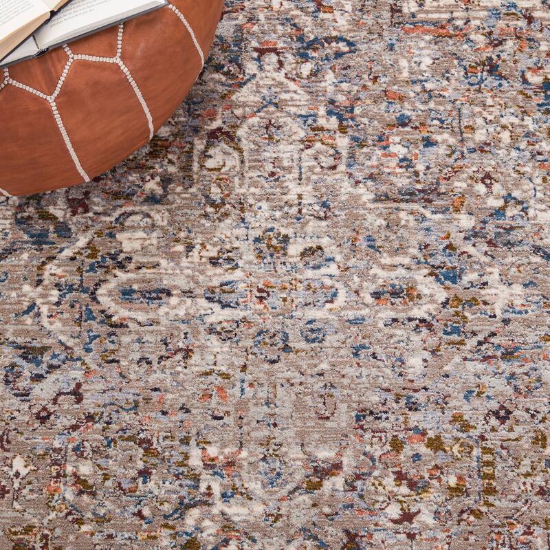 SAFAVIEH Limitee Carolann Vintage Oriental Rug