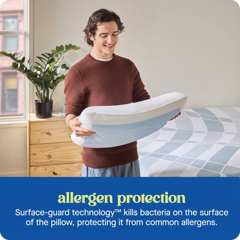 Sealy Dreamlife Memory Foam Gel Pillow