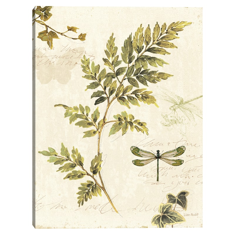 Ivies and Ferns III Canvas Art Print