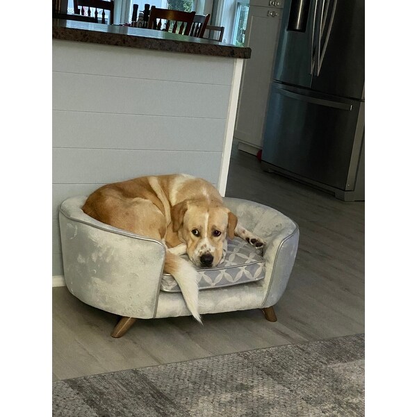 constantine quicksilver dog sofa