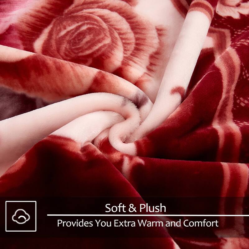Raschel A&B Printed 2-ply Reversible Korean-style Plush Fleece Blanket