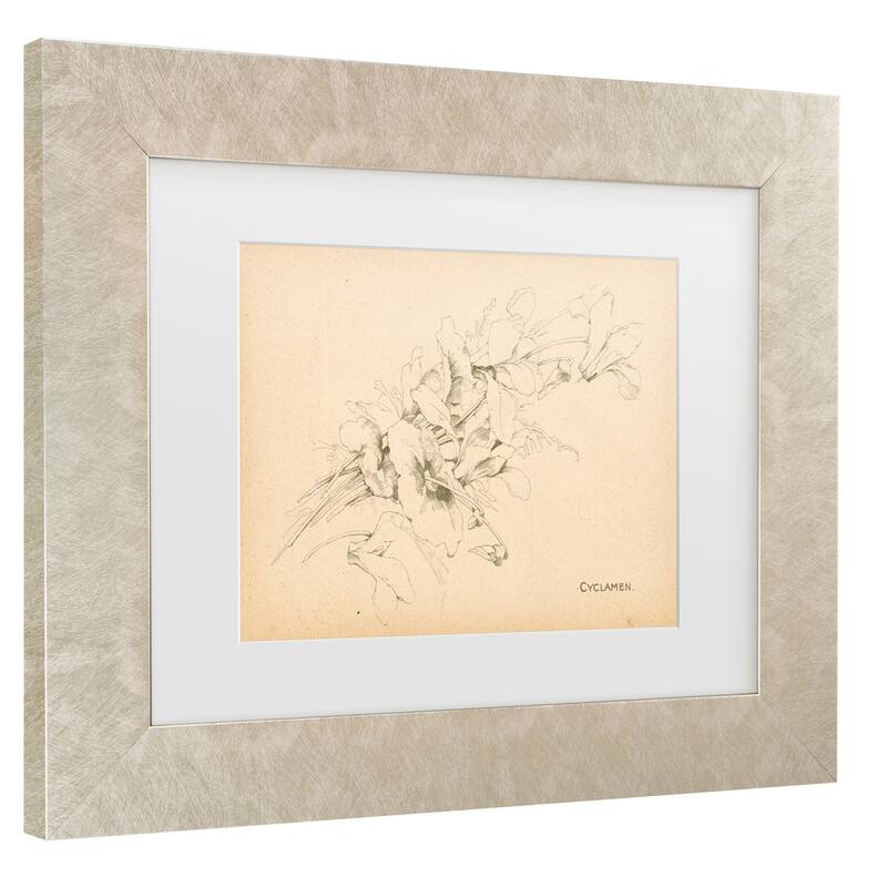 Art Licensing Studio 'Cyclamen' Matted Framed Art