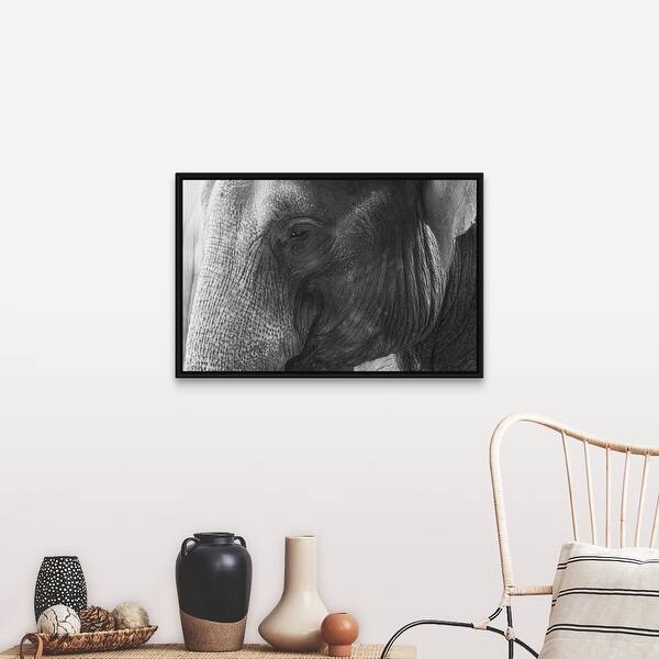 Shop Black And White Elephant Portrait Black Float Frame Canvas