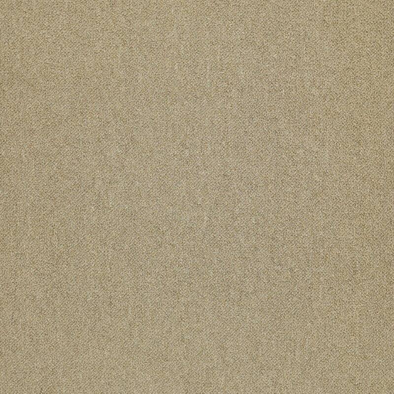 Shaw Philadelphia Commercial Counterpart 24" x 24" Glue Down Carpet - Copy Cat