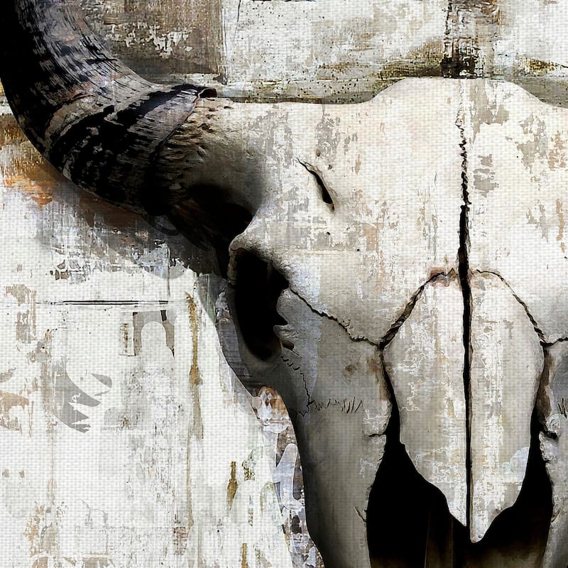 White Cowskull by GraphINC Canvas Art Print