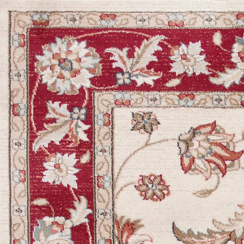 Domani Avon Elegant Traditional Scroll Rug