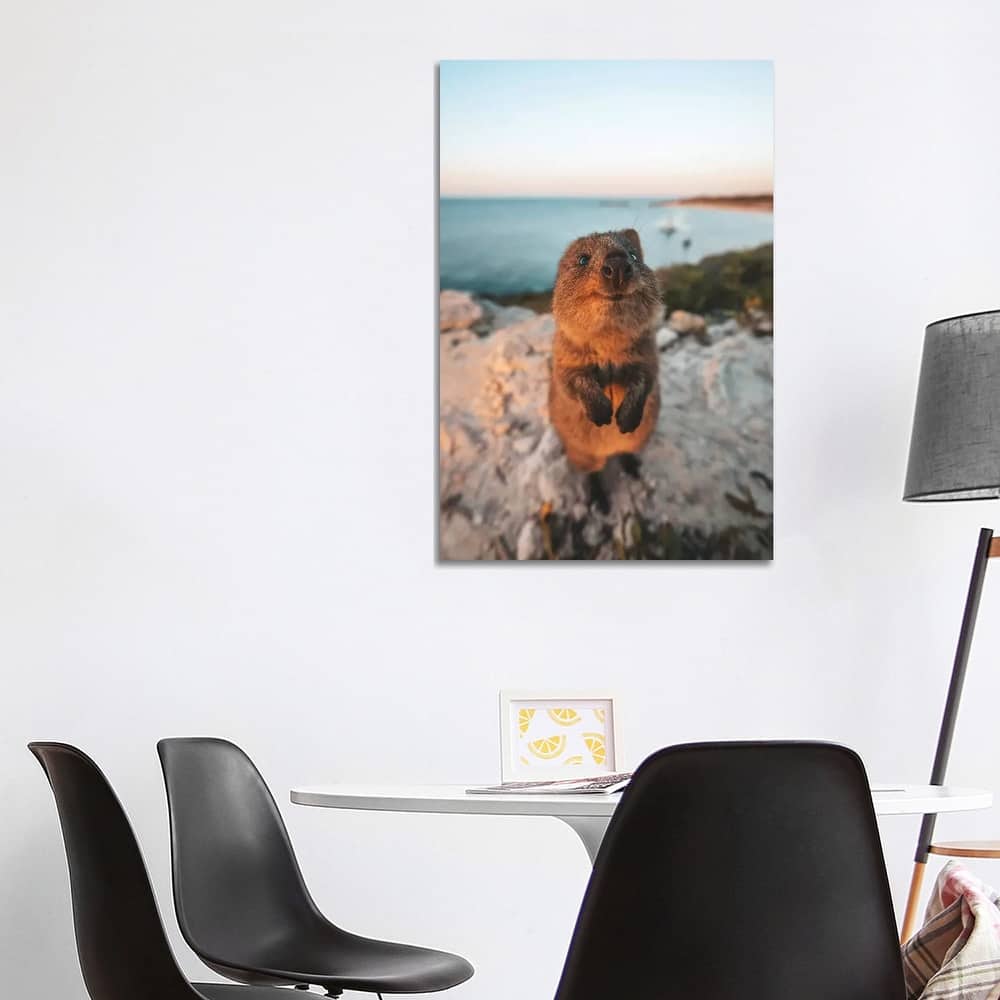 iCanvas "Cute Quokka By The Ocean" by James Vodicka Canvas Print