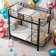 preview thumbnail 2 of 20, Modern Twin XL over Twin XL Metal Bunk Bed With MDF Board Guardrail And Two Storage Drawers