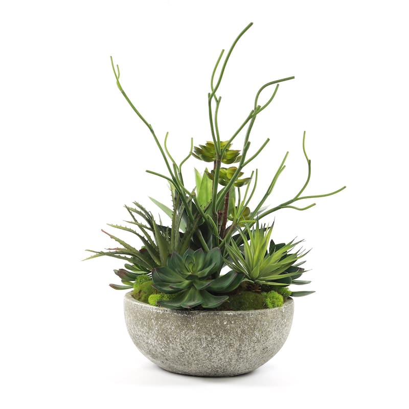 Faux Succulents & Agave Plant in Round Concrete Bowl - Green
