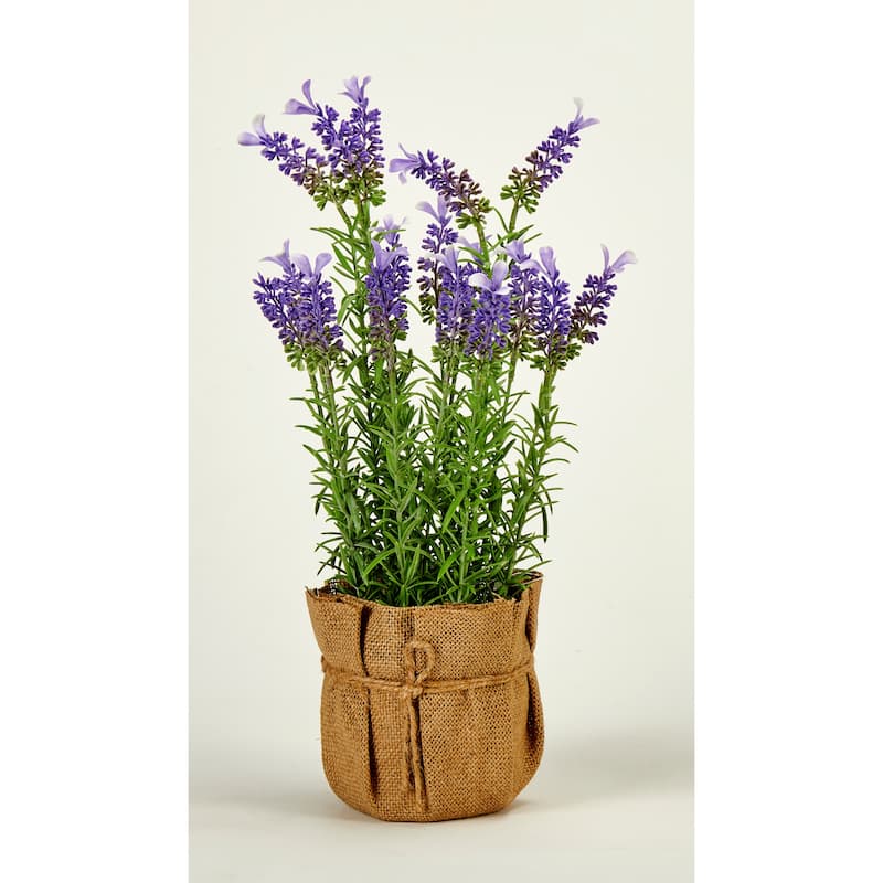16" Lavender in Burlap Bag - Purple - 16
