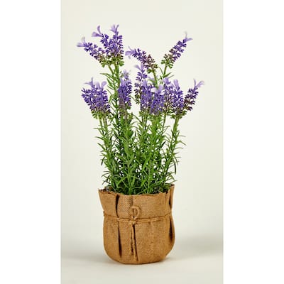 16" Lavender in Burlap Bag - Purple - 16