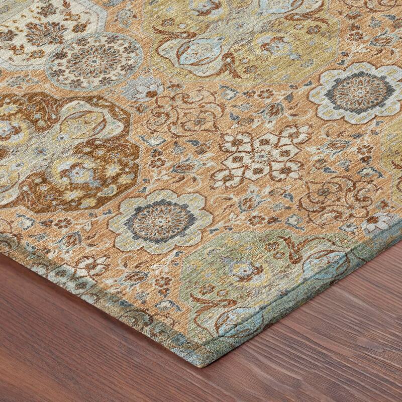 Machine Washable Indoor/ Outdoor Traditional Tracey Chantille Rug