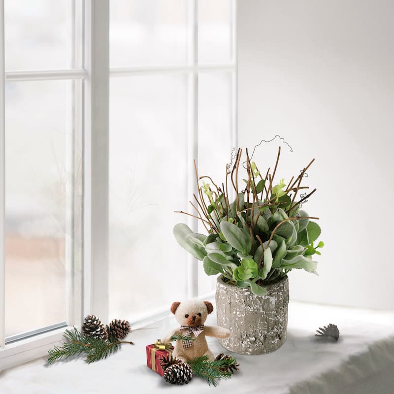 11" Lambs Ear Potted Plant With Twig & Greenery Leaves , Cement Pot