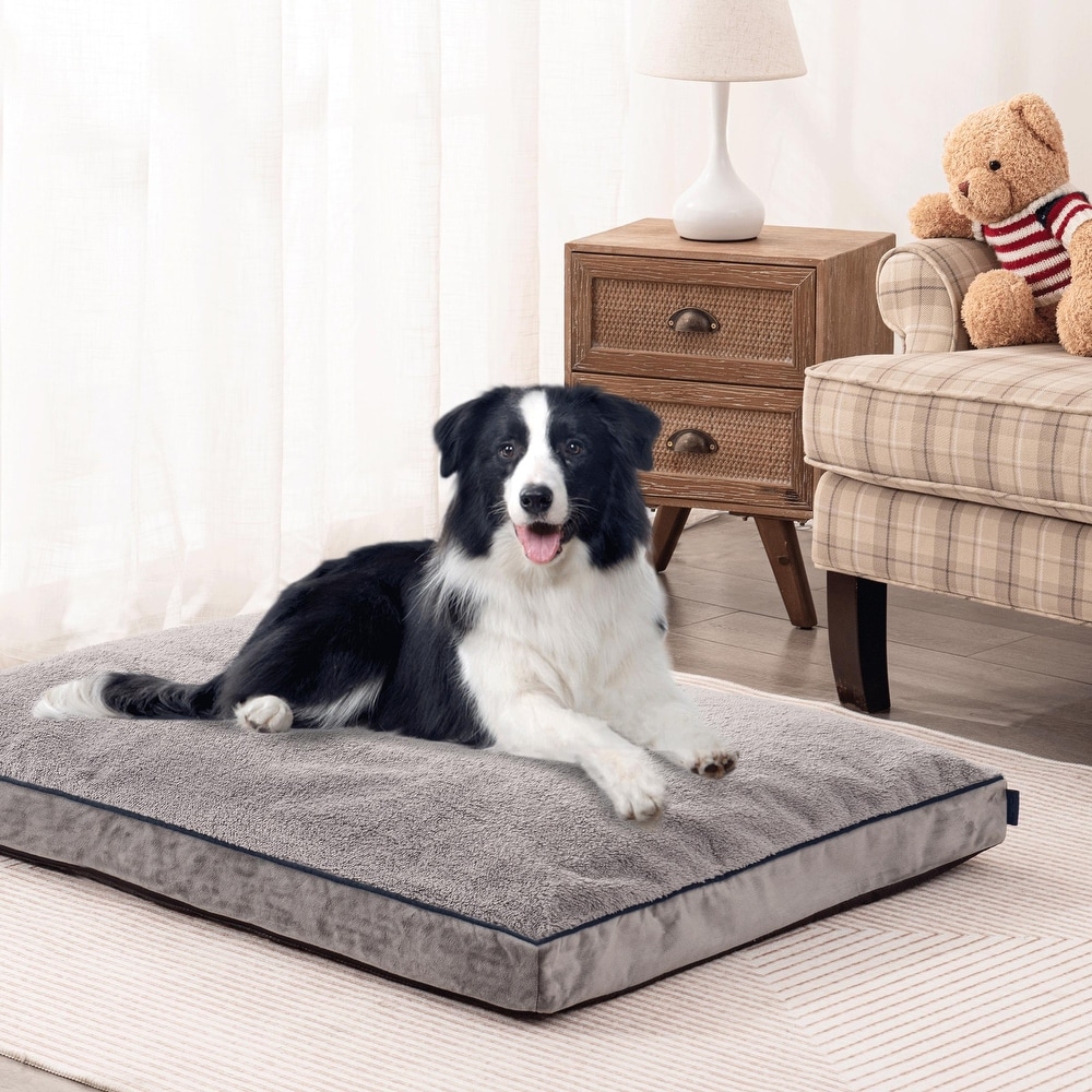 https://ak1.ostkcdn.com/images/products/is/images/direct/0fdeff42a9d55e61cd36abf2c64b56393e8db50b/Subrtex-Ultra-Plush-Memory-Foam-Dog-Bed-Pet-Pillow-with-Removable-Washable-Cover.jpg