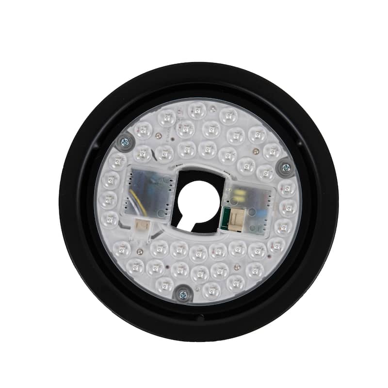Morden LED Ceiling Fan with Light and Remote
