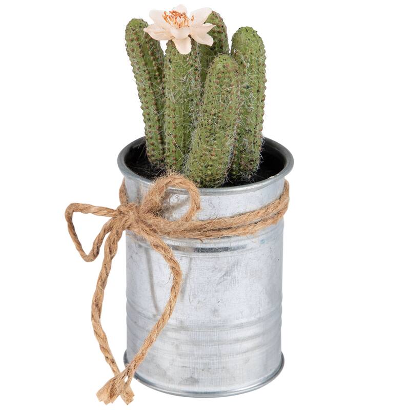 6" Silver and Green Artificial Mini Faux Cactus in Planter Twine Bow