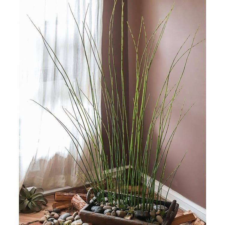 RusticReach Artificial Rough Horsetail Plant Long Stem 54" Tall