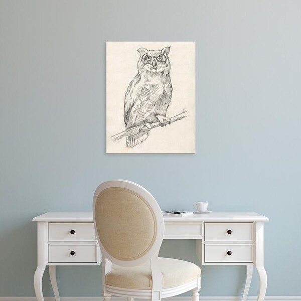Easy Art Prints Jennifer Goldberger's 'Owl Portrait I' Premium Canvas Art