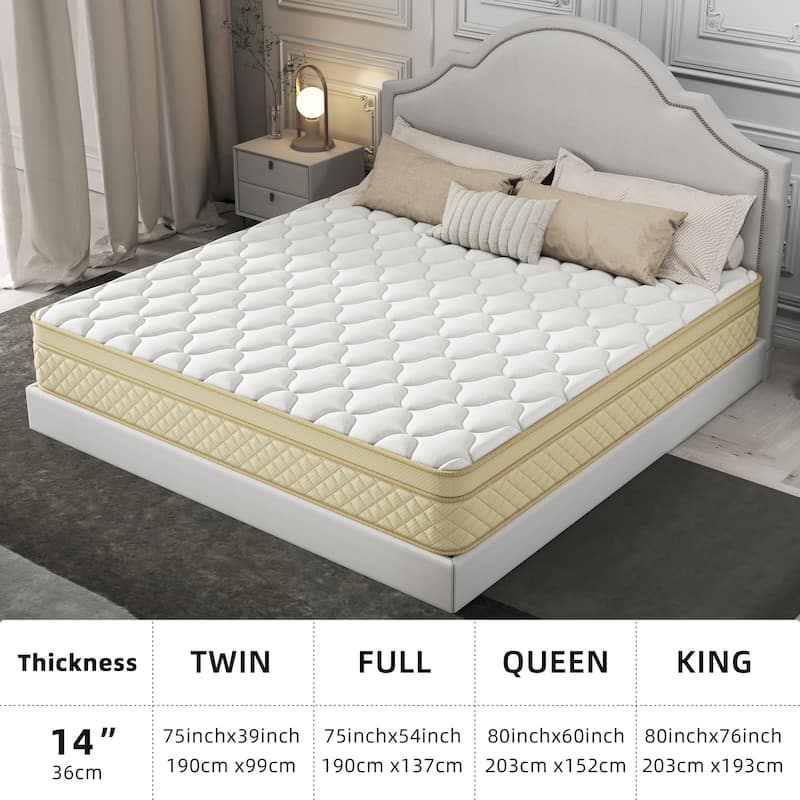 14" Euro Top Medium Memory Foam Hybrid Mattress in a Box