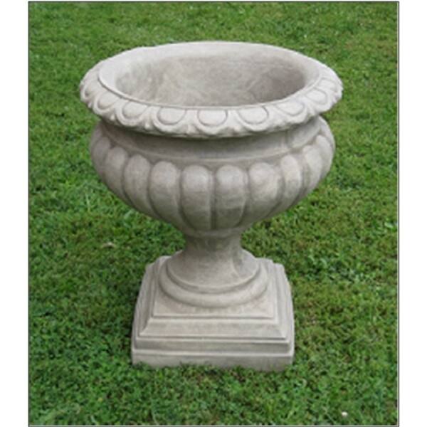 ficus plants for sale Premium Ficus – Liberty Landscape Supply main image 1