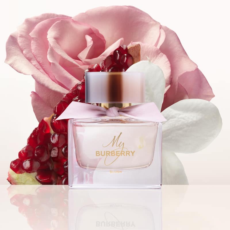 My Burberry Blush Eau de Parfum Spray for Women 3 Oz