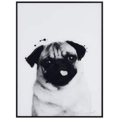 "Pug" Black and White Pet Paintings on Printed Glass Encased with a Black Anodized Frame