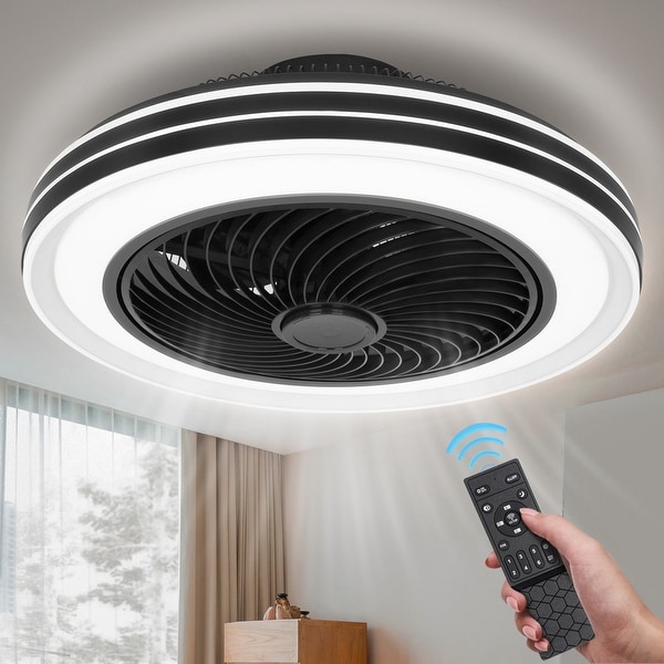 20 in. Indoor Black Caged Enclosed Ceiling Fan with LED Light