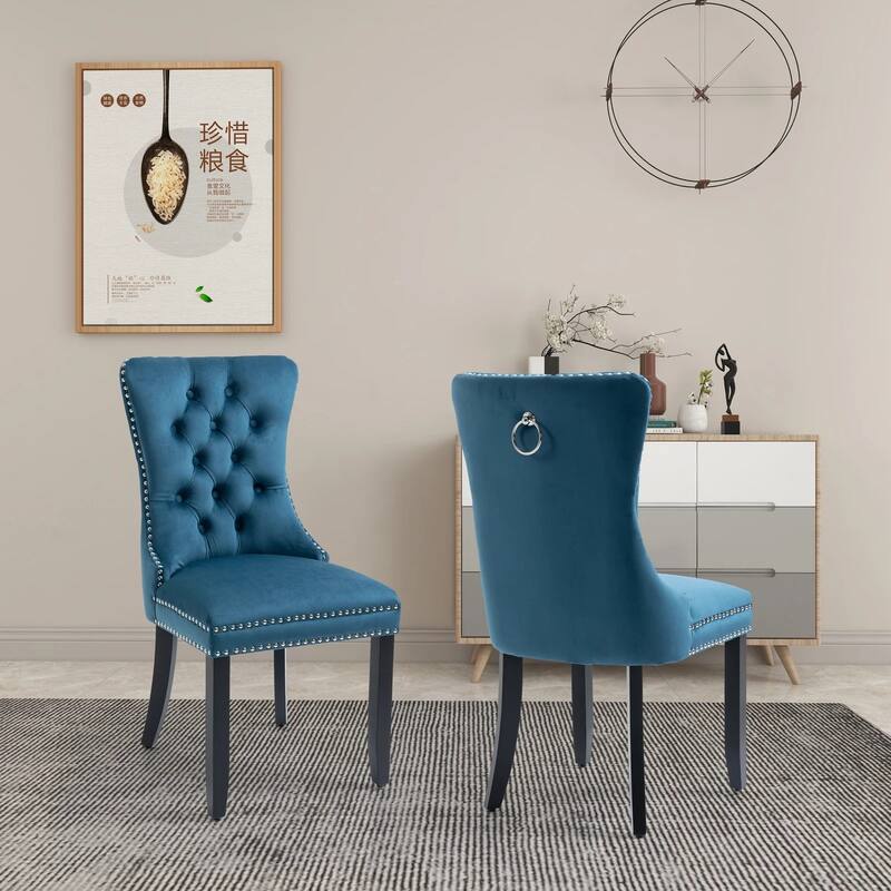 Velvet Dining Chairs Set of 2, Accent Diner Chairs Upholstered Fabric Living Room Chairs Side Chair Stylish Kitchen Chairs