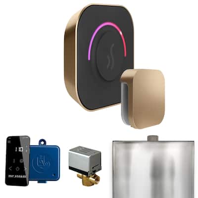 Mr Steam BT Butler Touch Package Steam Shower Control Package with