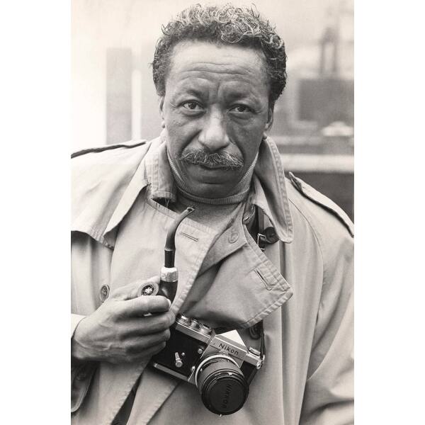 Shop Gordon Parks Jr History Overstock 24395905